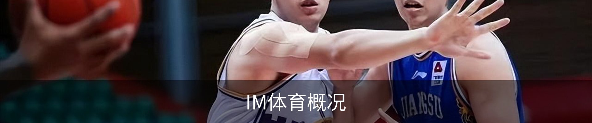 IM体育概况
